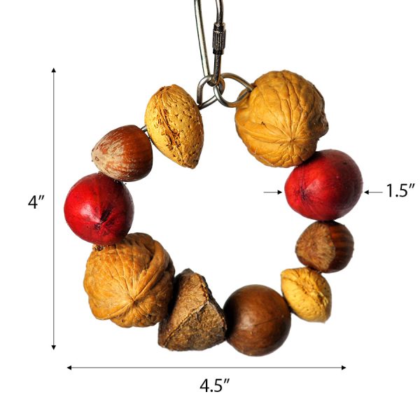 Happy Beaks Tropical Delight Mixed Nut Ring Jr. Online now