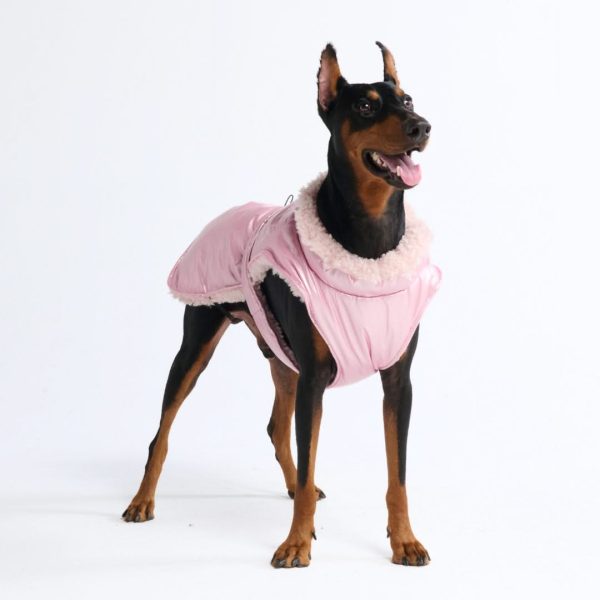 Slip-on Insulated Jacket - Metallic Pink Cheap - Image 5