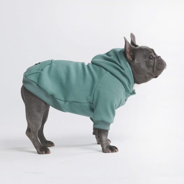 Essential Dog Hoodie - Teal Online Sale
