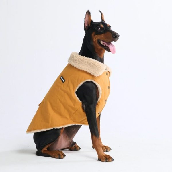 Workdog Insulated Utility Jacket - Brown For Sale