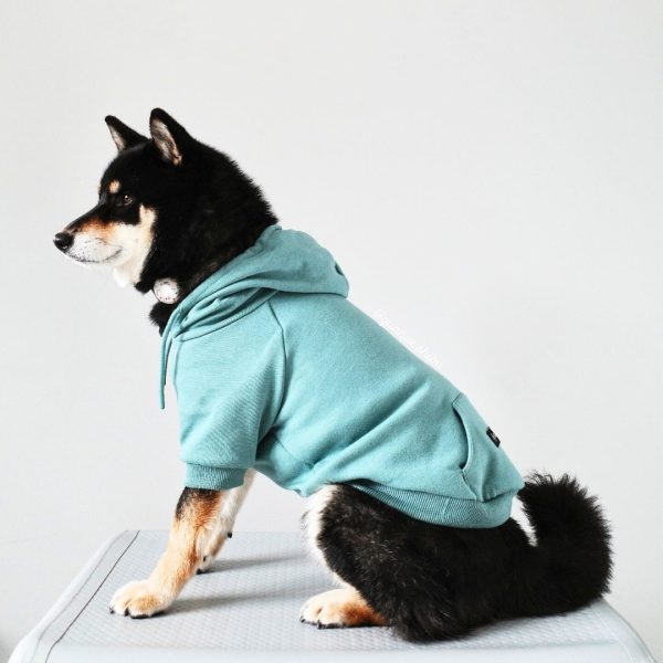 Essential Dog Hoodie - Teal Online Sale - Image 4
