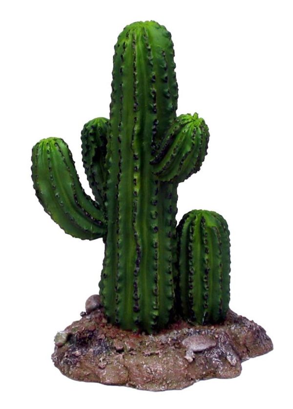 Weco Badlands Saguaro Cactus Terrarium Ornament For Discount