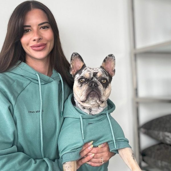 Essential Dog Hoodie - Teal Online Sale - Image 5