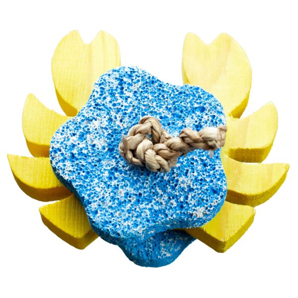 A&E Nibbles Wood Crab Chew Toy with Pumice Rock on Sale