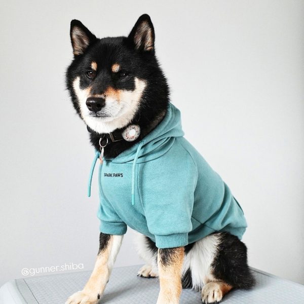 Essential Dog Hoodie - Teal Online Sale - Image 2
